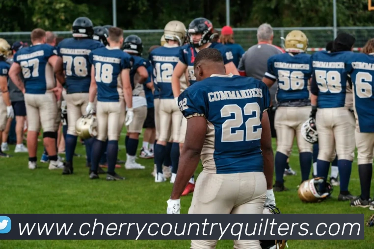 博鱼体育平台生态图