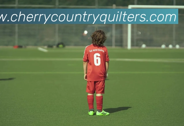 博鱼体育服务体系